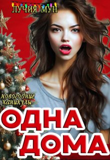 Одна дома. Новогодние каникулы